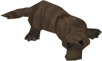 Peanut