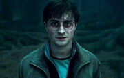Harry gaat naa voldemorth