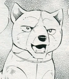 Yuki