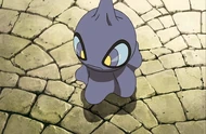 P13 Shuppet de Kodai