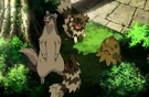 P13 Linoone, Zigzagoon y Shroomish
