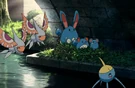 P13 Masquerain, Surskit, Azumarill, Marill y Azurill