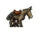 Burro.gif