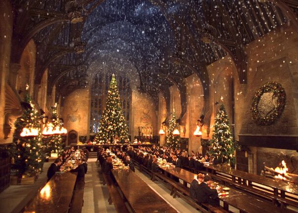 http://images1.wikia.nocookie.net/__cb20110104220159/harrypotter/ru/images/thumb/f/f9/Natale_hogwarts.jpg/608px-Natale_hogwarts.jpg