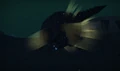 X2underwater.jpg