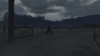 Rdr tempest looms06