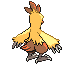 Combusken espalda G5 variocolor hembra