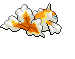 Goldeen espalda G5 variocolor hembra