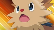EP675 Lillipup