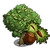 Chestnut Tree-icon.png