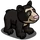 Andean Bear Cub