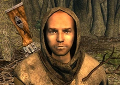 Branchtender Linden