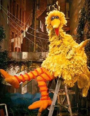 BigBird1970