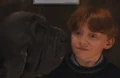 Fangr.PNG