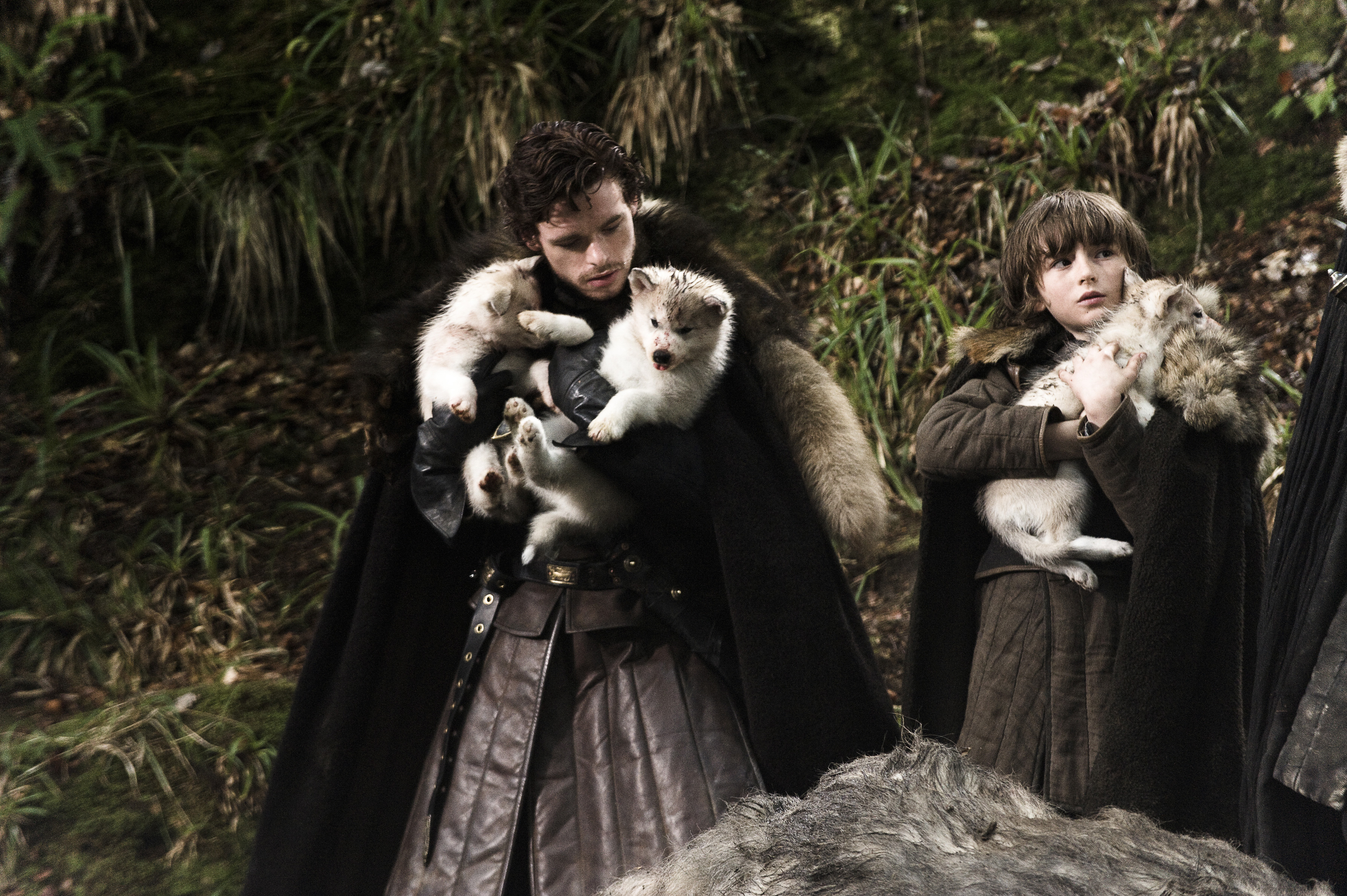 Robb,_Bran_and_wolves
