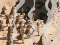 Earthbenders.png