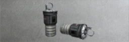FRG-1