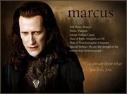 Marcus-bio-900
