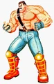 FF2Haggar