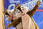 Chip&DaleInfoBox