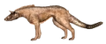 Legendary profile.png