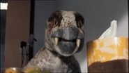Diictodon