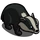 Amur Badger