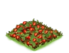 Plot Strawberries.png