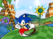 Sonic Runing at Green Hill