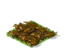 Watermelon Withered
