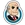 Get Rich Rent-icon