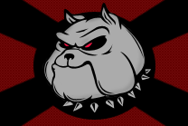 Hooligan Flag2