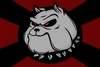 Hooligan Flag2