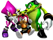 Team chaotix