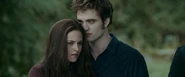 ImagesCA1IJXLF