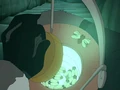 Fireflies.png