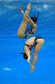 Aquatics-Diving.jpg