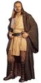 Qui-Gon negtc.jpg