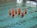 Synchronized swimming.jpg