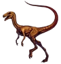 DC2Compsognathus