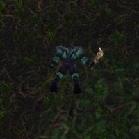 Image of Fallen Horde Assassin