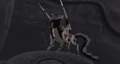 Ni's Dogs