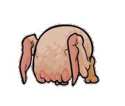 Headcrab