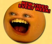 ImagesCA3NESHC