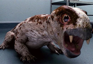 Creature diictodon.jpg