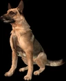 Hewie2