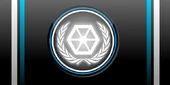 TSA Flag