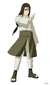 Neji ship