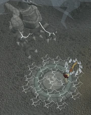 Spirit of Summer - Disc damage