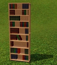 LibraryShelf
